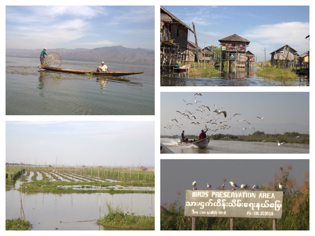 inle1